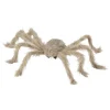 WIDMANN Araignée Poilue à Poser Ou à Porter 75 Cm -Robes D'Halloween Soldes Boutique araignee poilue a poser ou a porter 75 cm